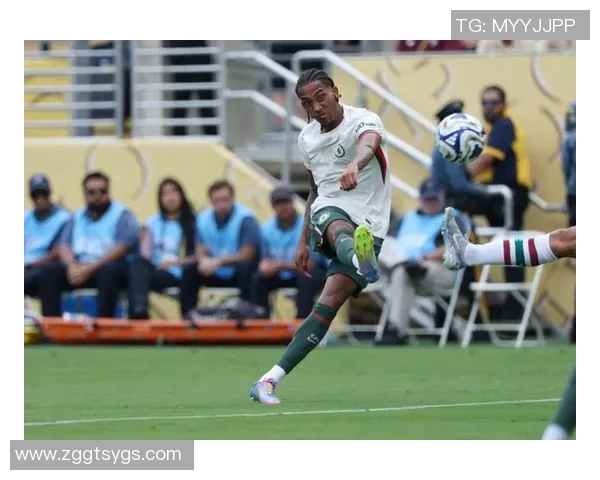 切尔西与纽卡争夺若昂佩德罗转会费或超五千万英镑