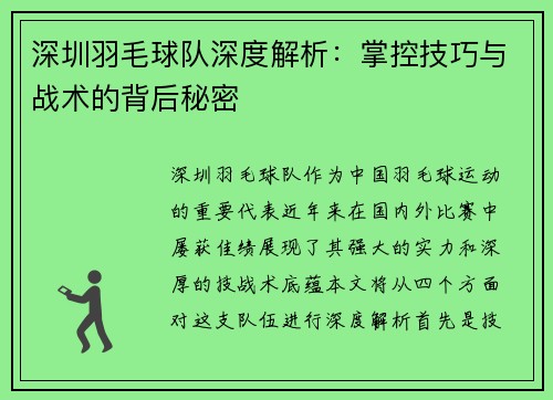 深圳羽毛球队深度解析：掌控技巧与战术的背后秘密