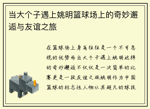 当大个子遇上姚明篮球场上的奇妙邂逅与友谊之旅