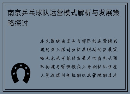 南京乒乓球队运营模式解析与发展策略探讨